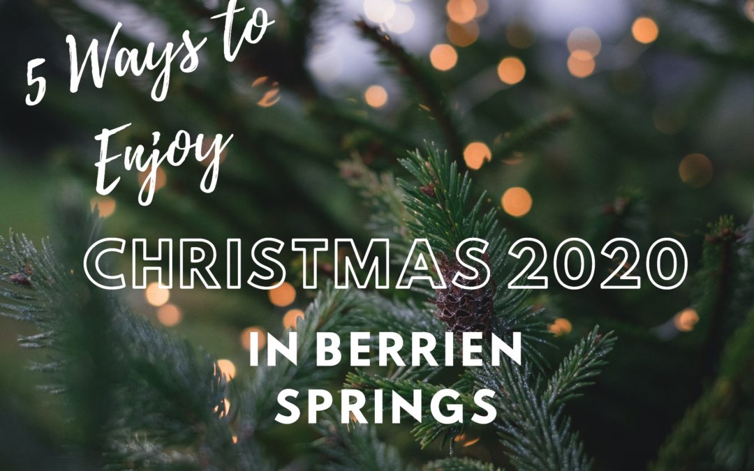 5 Ways To Celebrate Christmas 2020 in Berrien Springs