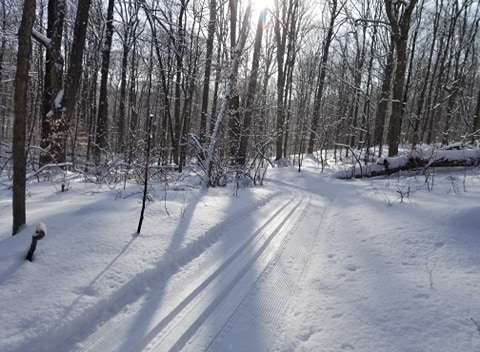 Get out and play – in the snow! 5 ways to enjoy winter in Berrien Springs.