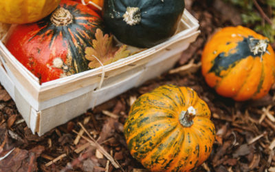 Fall Is a Great Time To Join The Berrien Springs Garden Club!